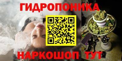 прущий лед Кингисепп