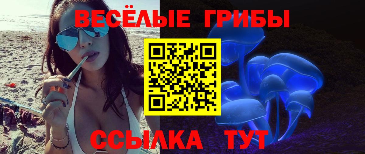 Псилоцибиновые грибы MAGIC MUSHROOMS  Галлюциногенные грибы Magic Shrooms  Вход с VPN  Буйнакск 