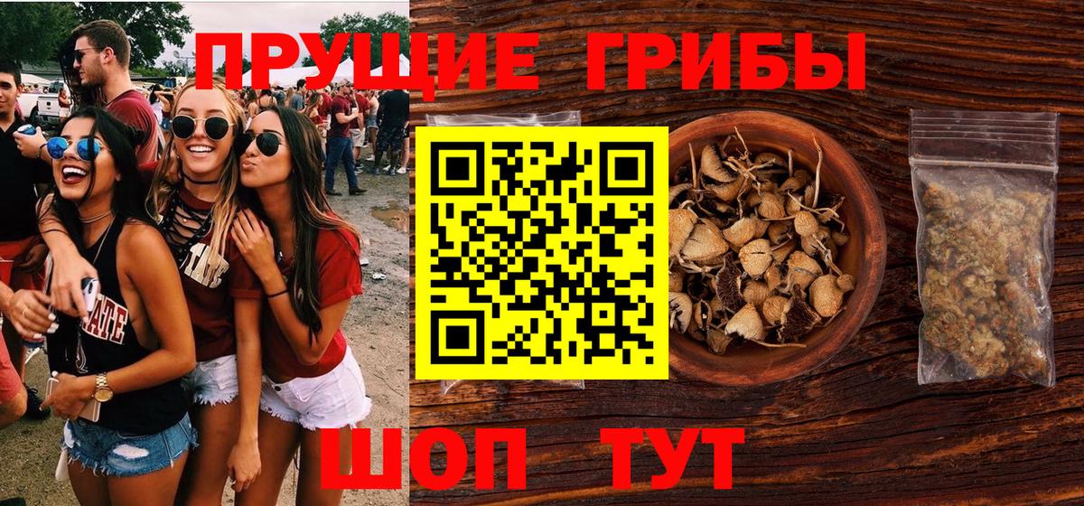 Галлюциногенные грибы Psilocybine cubensis Буйнакск
